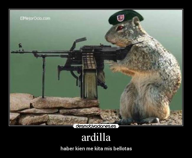 ardilla -