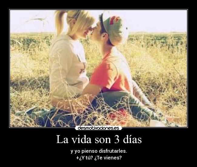 carteles vida dena desmotivaciones