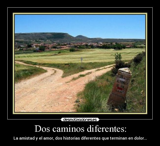Dos caminos diferentes: - La amistad y el amor, dos historias diferentes que terminan en dolor...