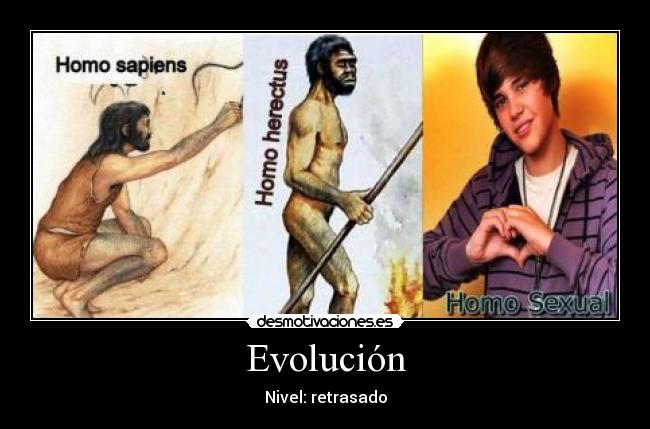 Evolución -