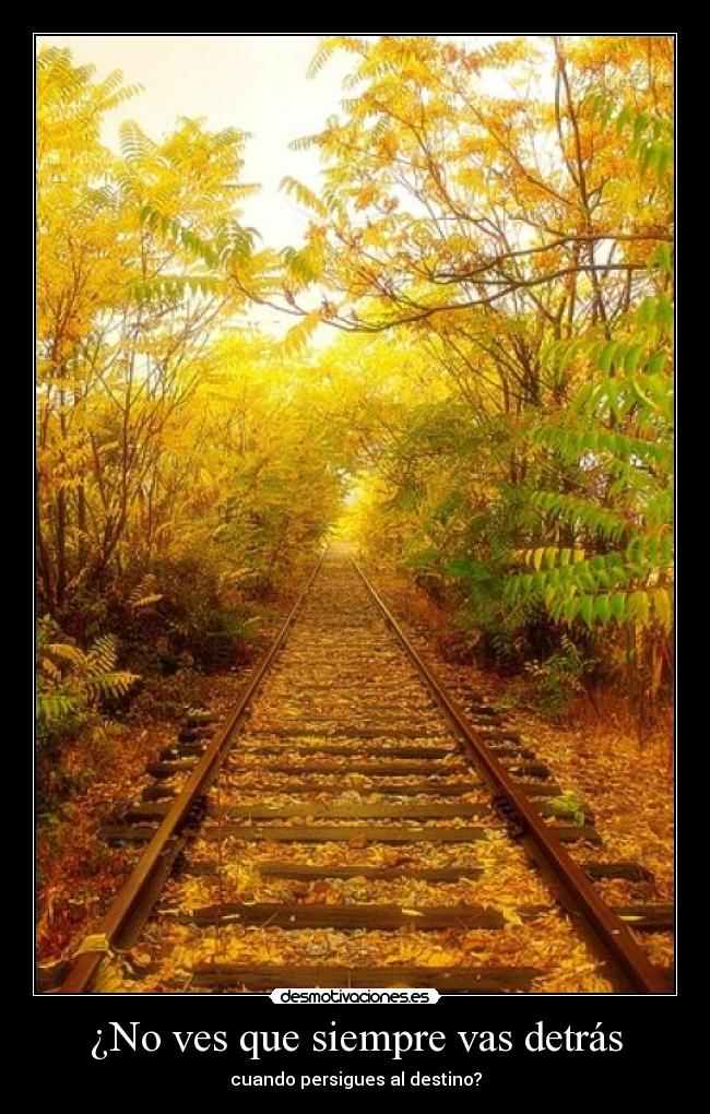 ¿No ves que siempre vas detrás - 