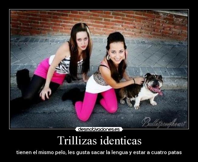 Trillizas identicas - 