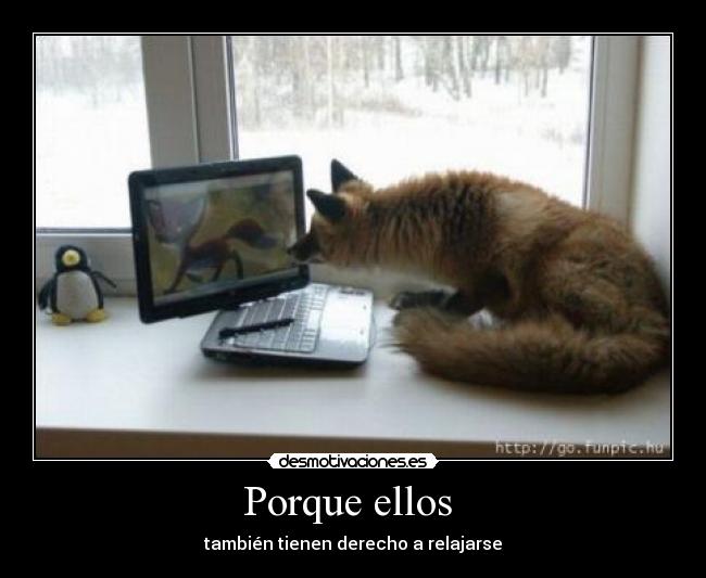 Porque ellos - también tienen derecho a relajarse