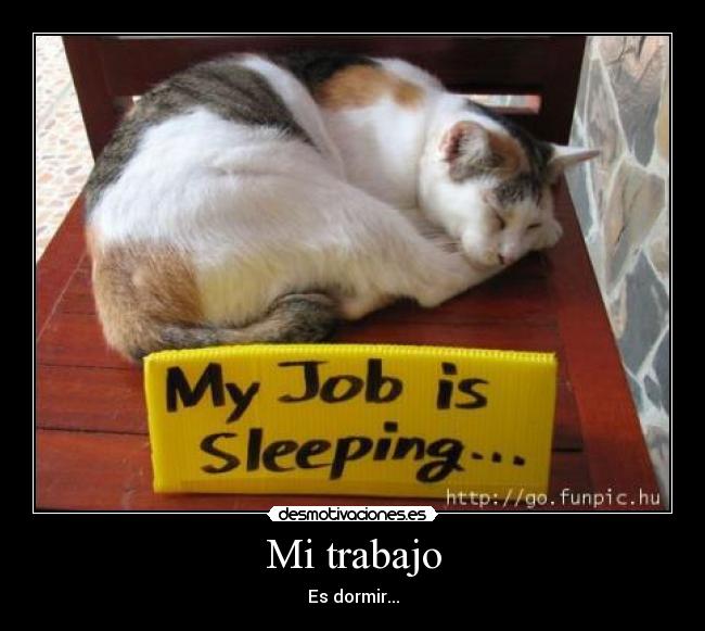 Mi trabajo - Es dormir...