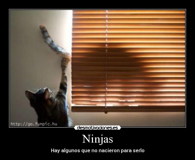 Ninjas - Hay algunos que no nacieron para serlo