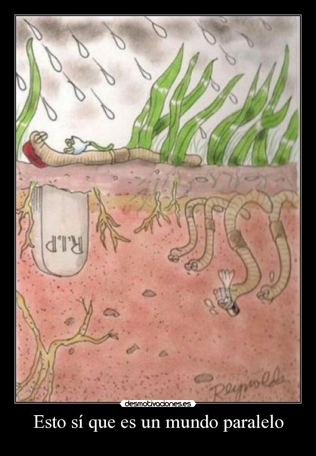 Esto sí que es un mundo paralelo -