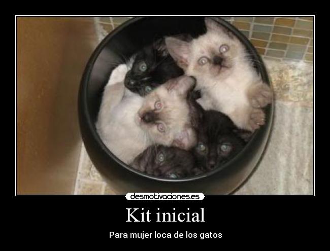 Kit inicial - Para mujer loca de los gatos