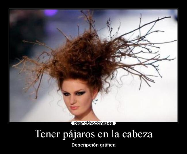 Tener pájaros en la cabeza - Descripción gráfica