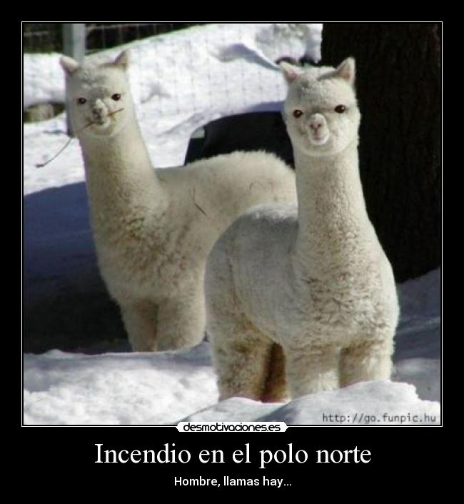 Incendio en el polo norte - Hombre, llamas hay...