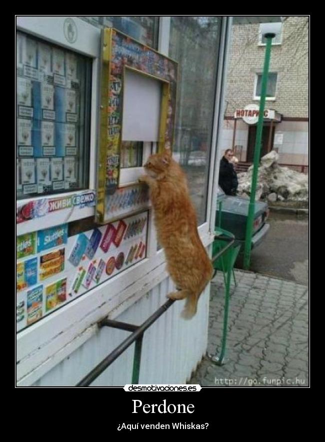 Perdone - ¿Aquí venden Whiskas?