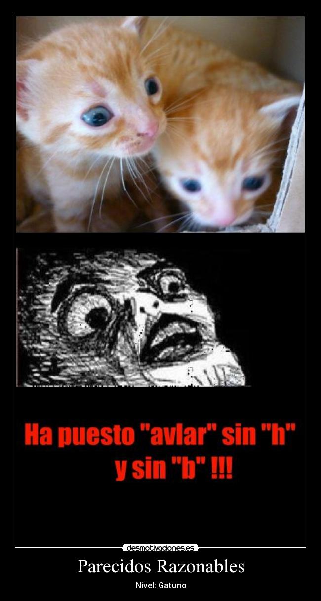 Parecidos Razonables - Nivel: Gatuno