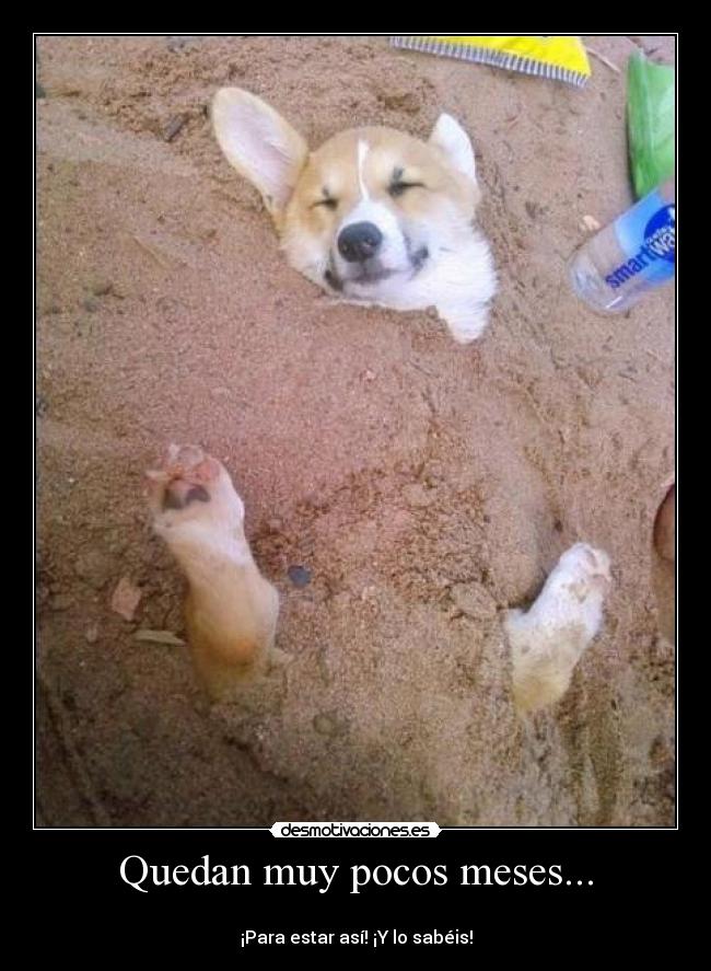 Quedan muy pocos meses... - 
¡Para estar así! ¡Y lo sabéis!