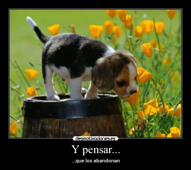 Y pensar... - 