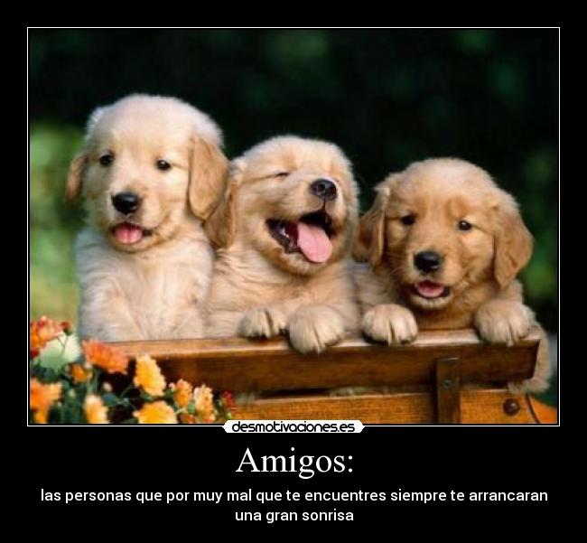 Amigos: - las personas que por muy mal que te encuentres siempre te arrancaran
una gran sonrisa