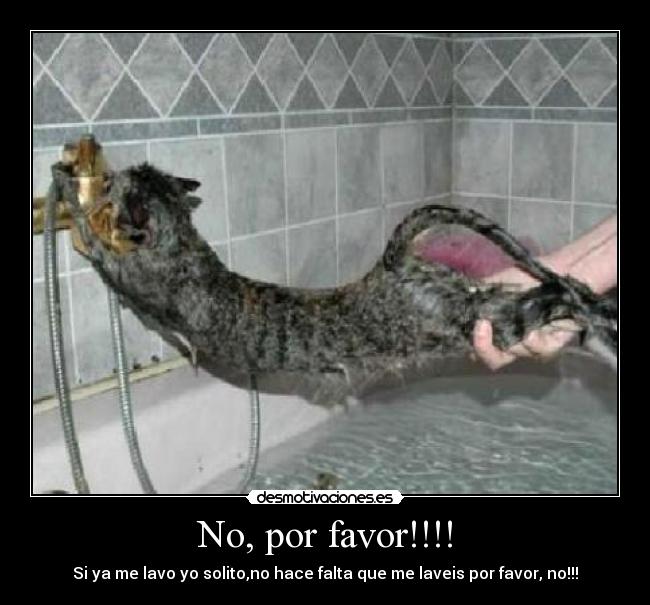 No, por favor!!!! -