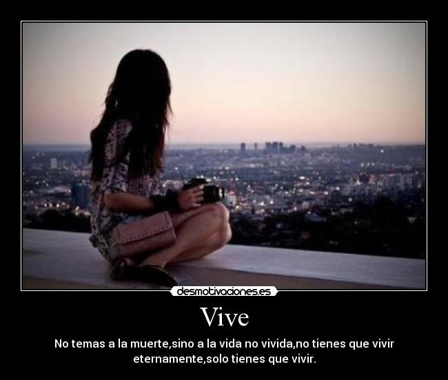 Vive - 
