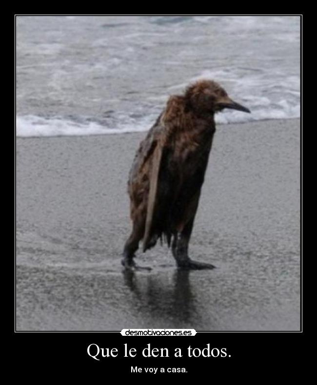 Que le den a todos. -