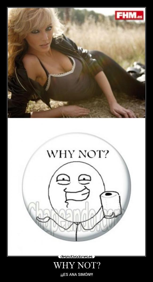 WHY NOT? - 