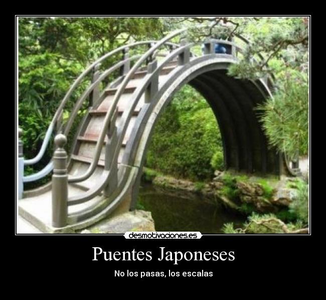 Puentes Japoneses - No los pasas, los escalas
