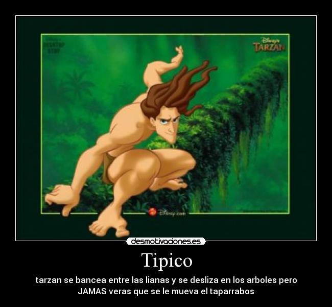 Tipico - tarzan se bancea entre las lianas y se desliza en los arboles pero
JAMAS veras que se le mueva el taparrabos