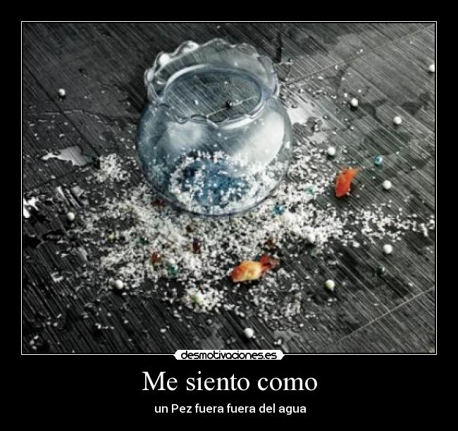 Me siento como - un Pez fuera fuera del agua
