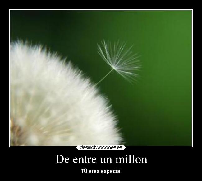 De entre un millon -