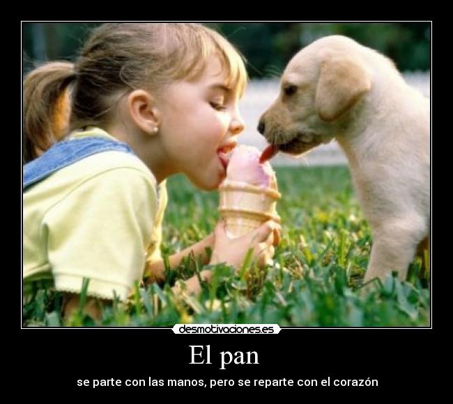 El pan - se parte con las manos, pero se reparte con el corazón