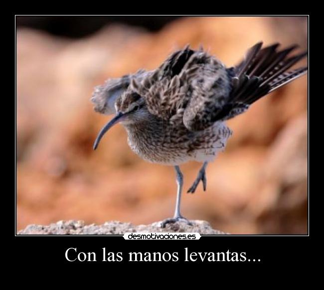 Con las manos levantas... -