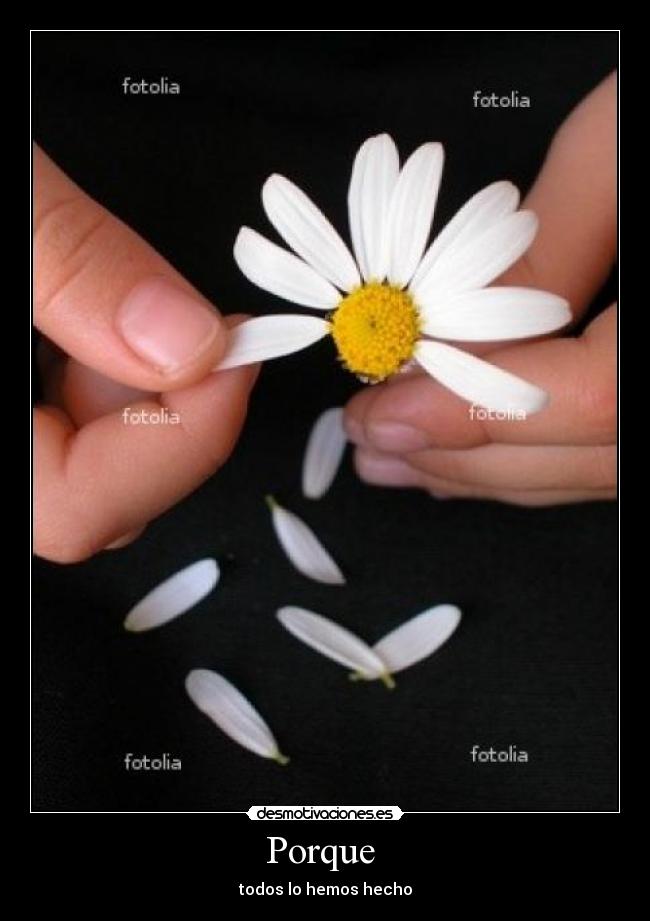 Porque  - todos lo hemos hecho
