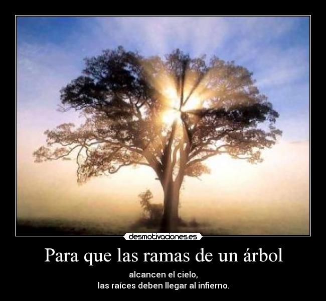 carteles ramas arbol desmotivaciones