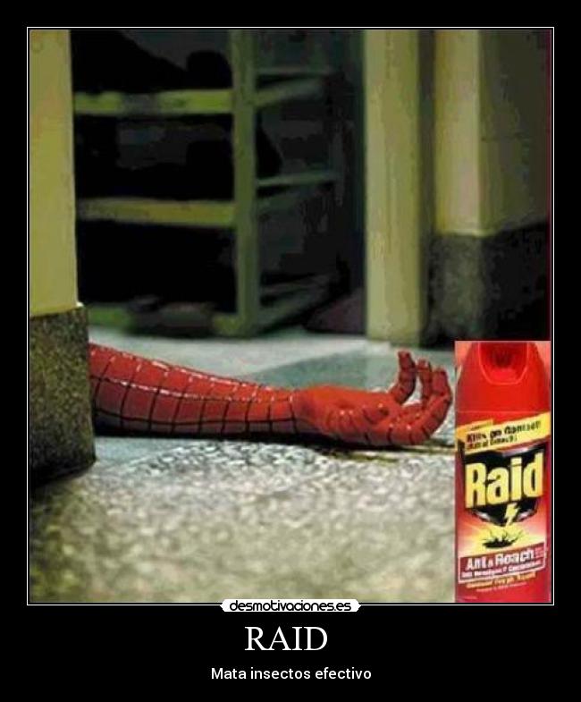RAID - Mata insectos efectivo
