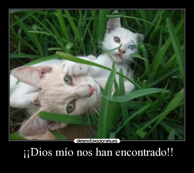 ¡¡Dios mío nos han encontrado!! -