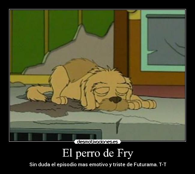 El perro de Fry -