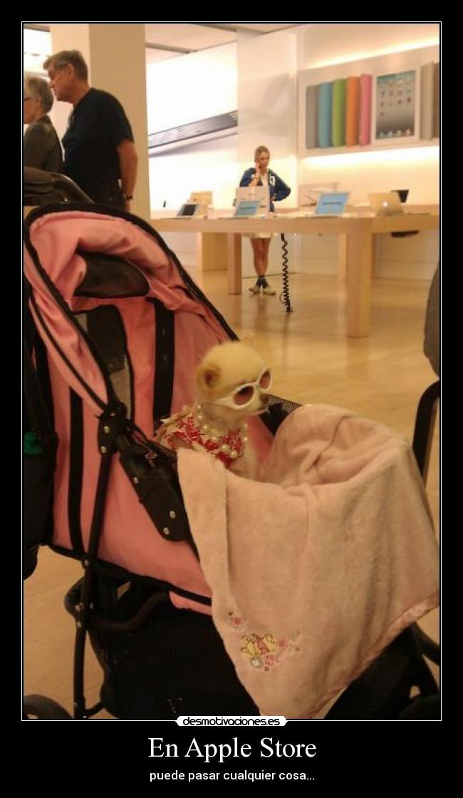 En Apple Store - puede pasar cualquier cosa...