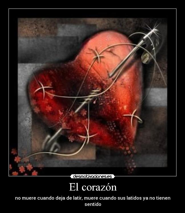 El corazón -
