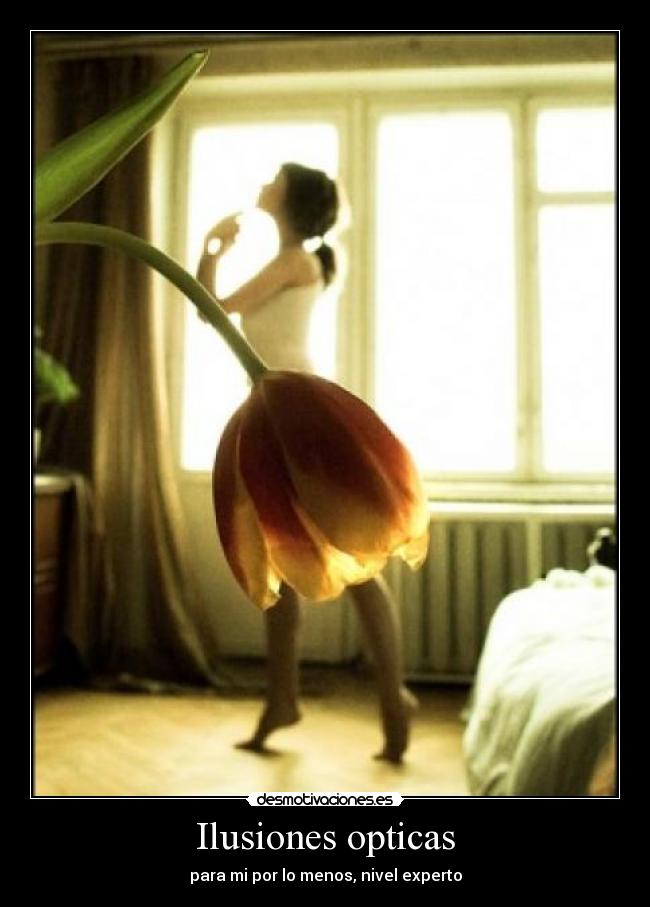 Ilusiones opticas - 