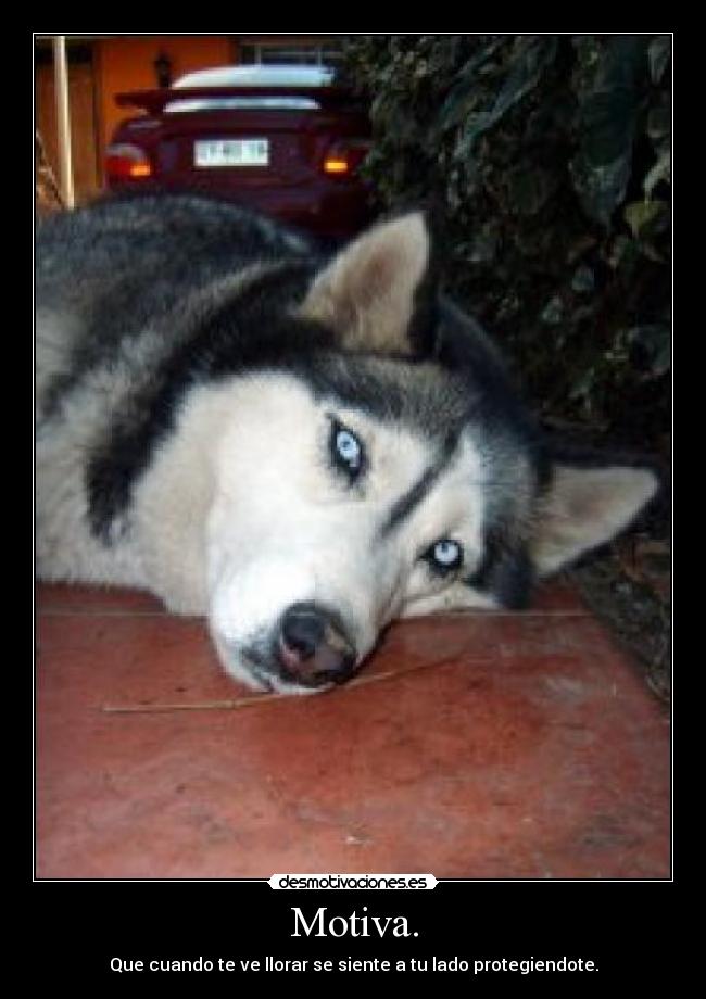 Motiva. - Que cuando te ve llorar se siente a tu lado protegiendote.