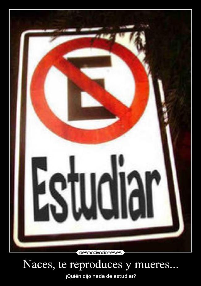 Naces, te reproduces y mueres... - ¡Quién dijo nada de estudiar?