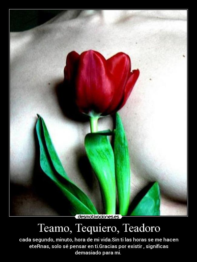 Teamo, Tequiero, Teadoro - cada segundo, minuto, hora de mi vida.Sin ti las horas se me hacen
eteRnas, solo sé pensar en ti.Gracias por existir , significas
demasiado para mi.