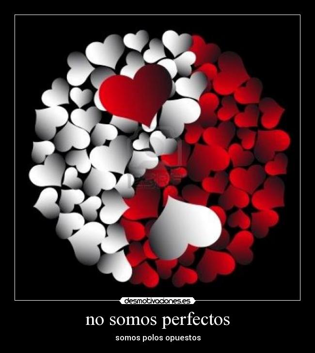 no somos perfectos -