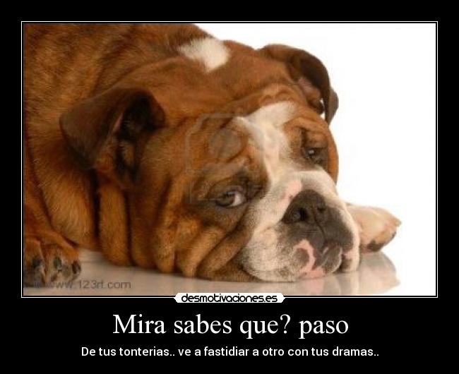 Mira sabes que? paso -