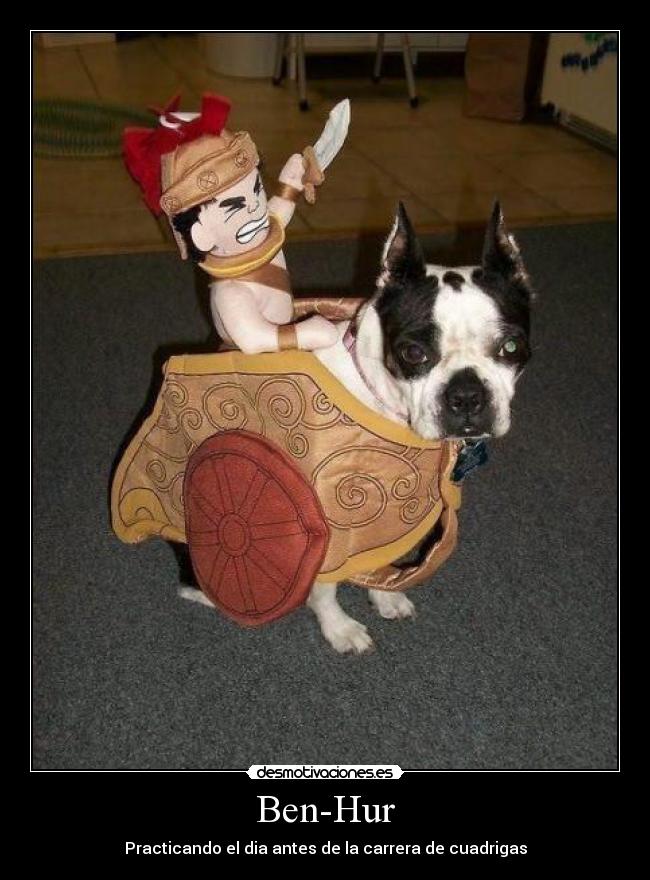 Ben-Hur - Practicando el dia antes de la carrera de cuadrigas