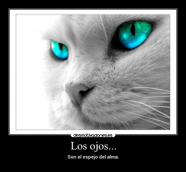 Los ojos... -