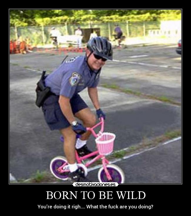BORN TO BE WILD - Youre doing it righ.... What the fuck are you doing?