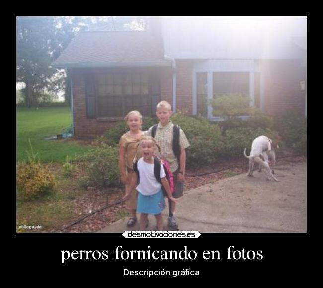 perros fornicando en fotos - Descripción gráfica