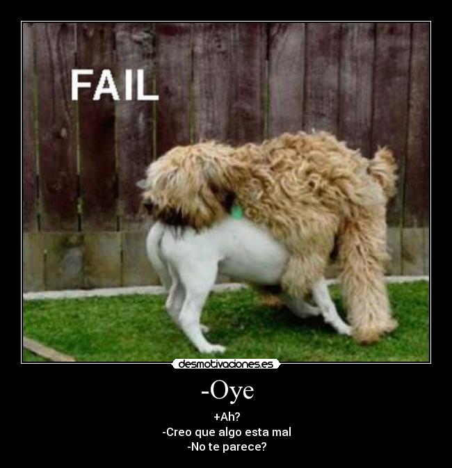 -Oye - +Ah?
-Creo que algo esta mal
-No te parece?