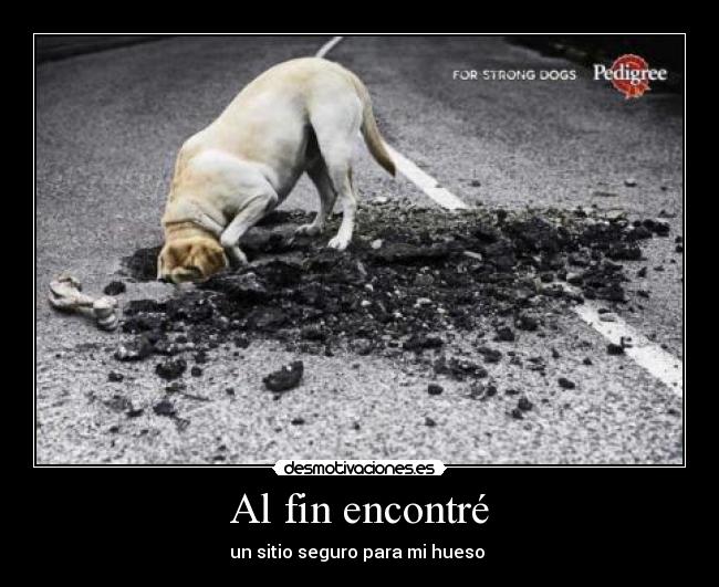 Al fin encontré - un sitio seguro para mi hueso