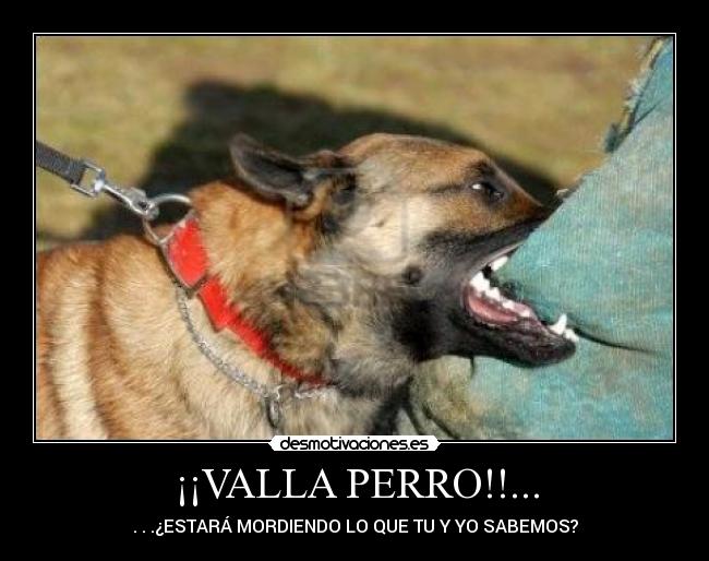 ¡¡VALLA PERRO!!... - . . .¿ESTARÁ MORDIENDO LO QUE TU Y YO SABEMOS?