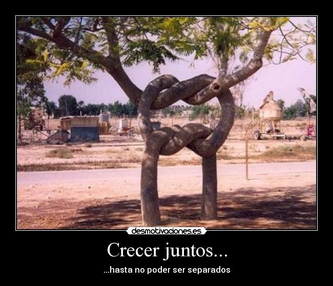 Crecer juntos... -