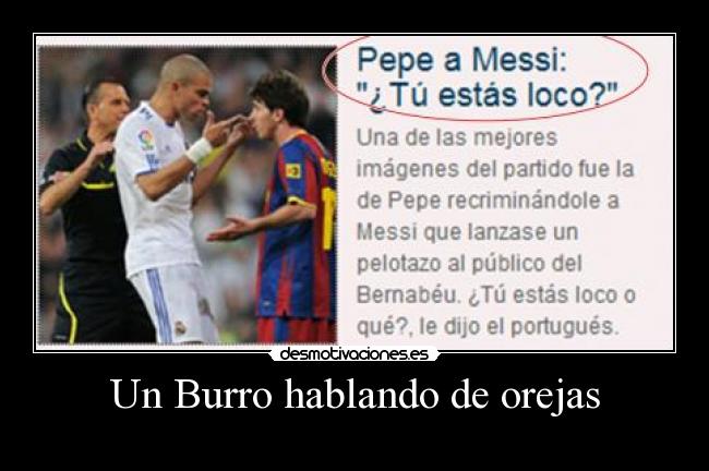 Un Burro hablando de orejas - 